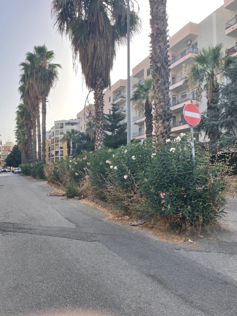 Via Monsignor Aurelio Sorrentino