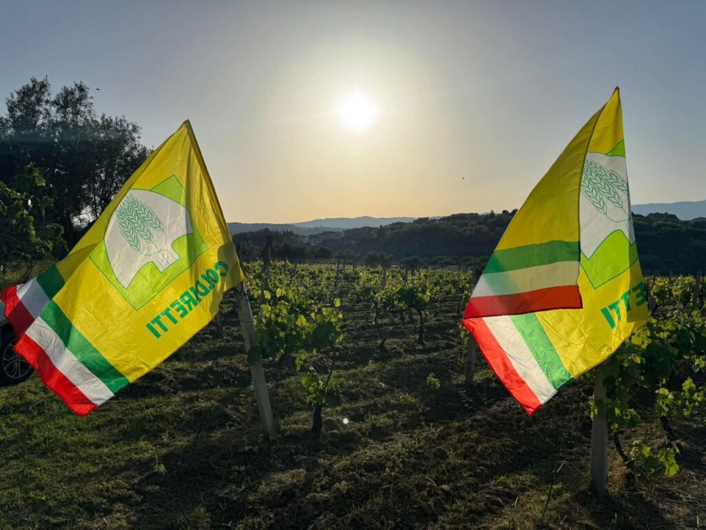 Vigneto Bandiere Coldiretti