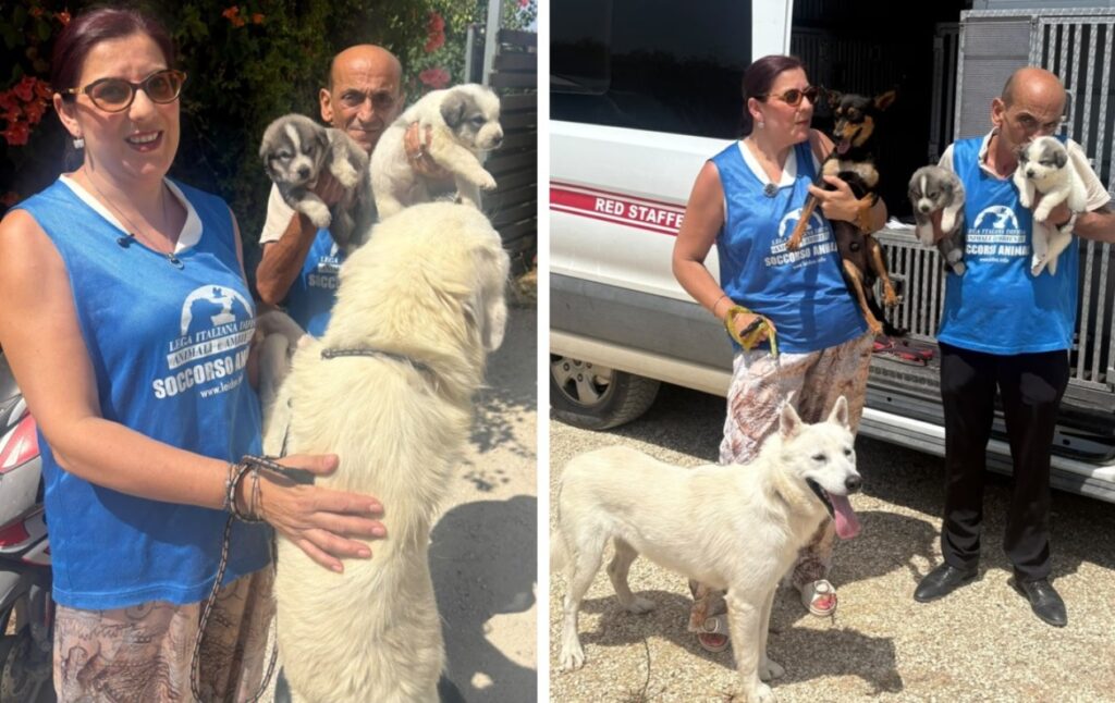 cani sciacca