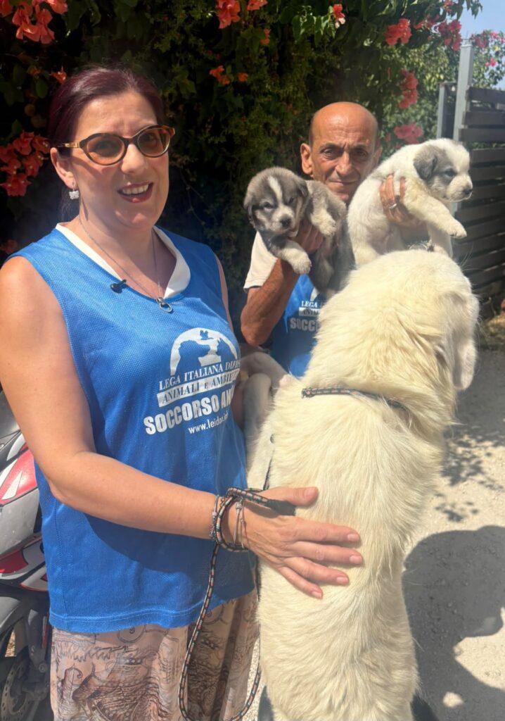 cani sopravvissuti a sciacca