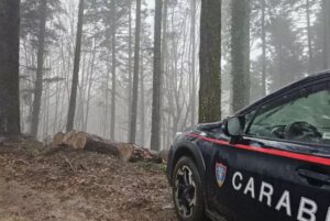 carabinieri bosco