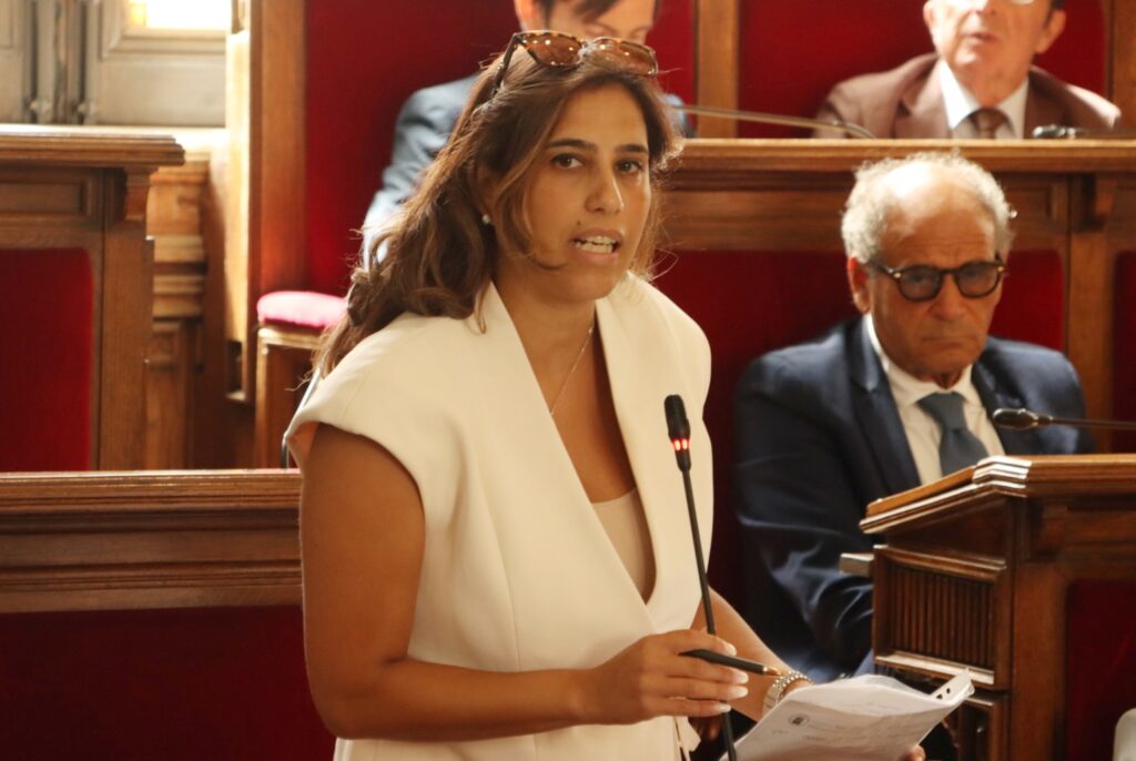 consiglio comunale reggio calabria 20 luglio 2026