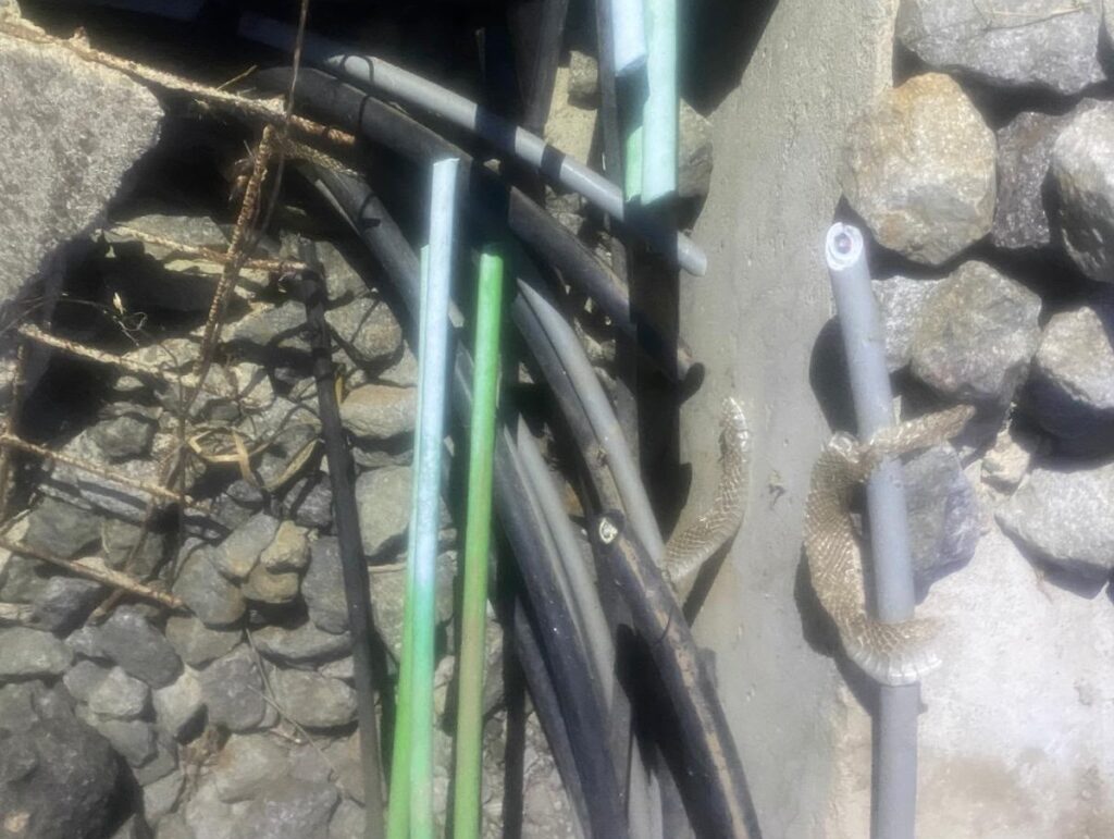 danni rete ferroviaria calabria