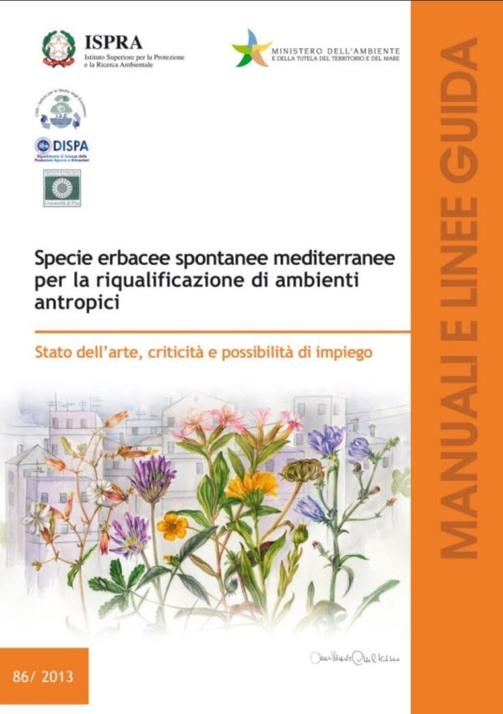 flora spontanea mediterranea