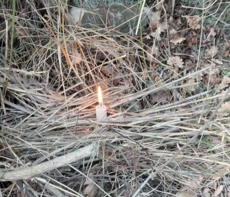 incendi calabria