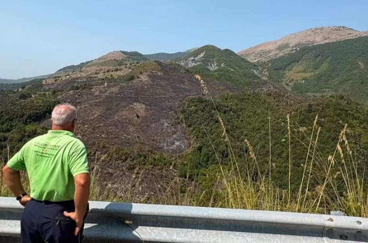 incendio a papasidero