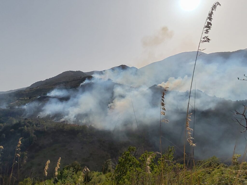 incendio cosentino