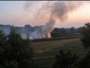incendio gioia tauro