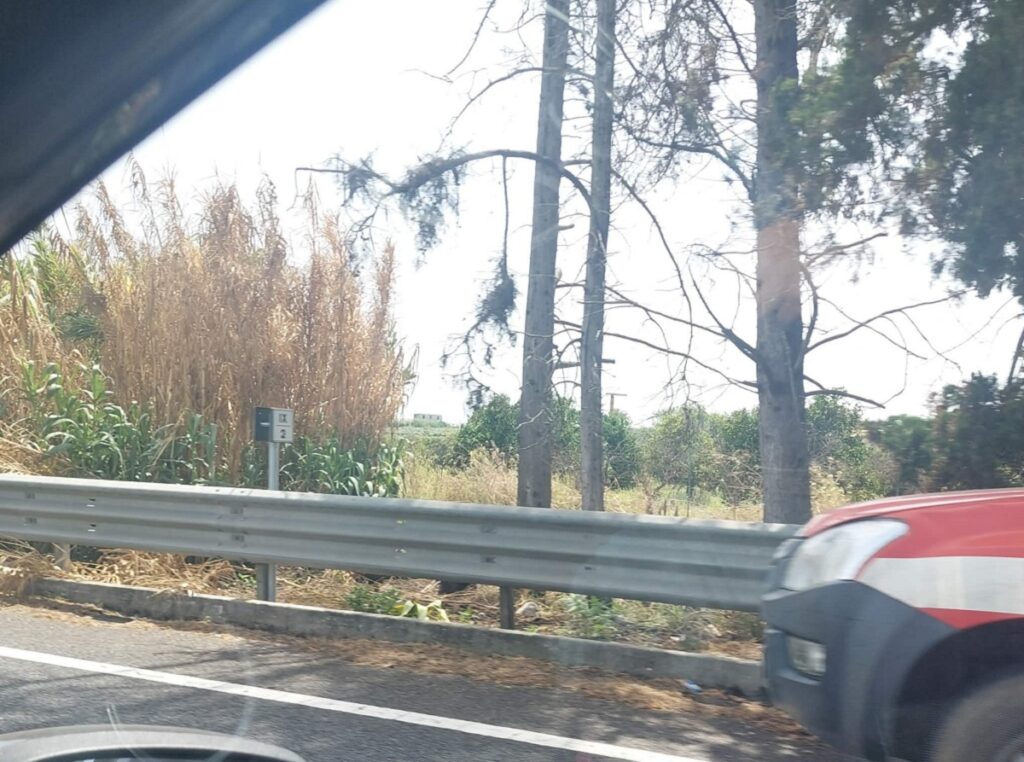 incendio jonio tirreno
