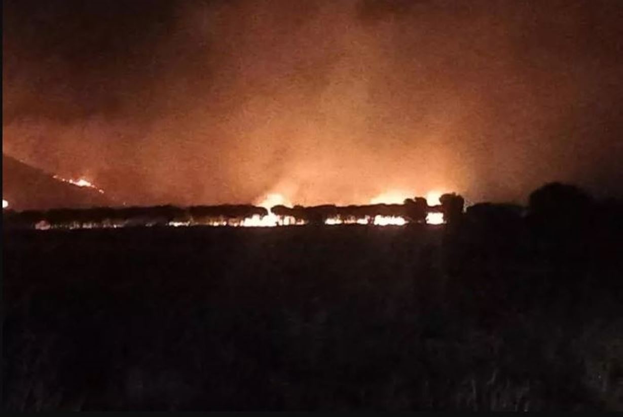 incendio pollino