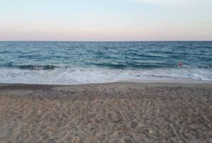 mare