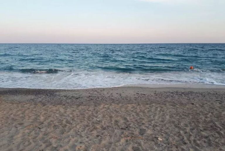 mare