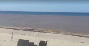 mare gioia tauro