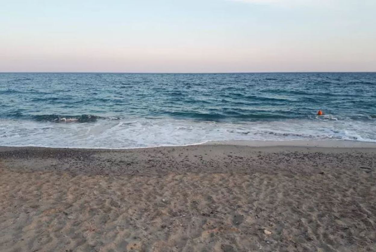 mare