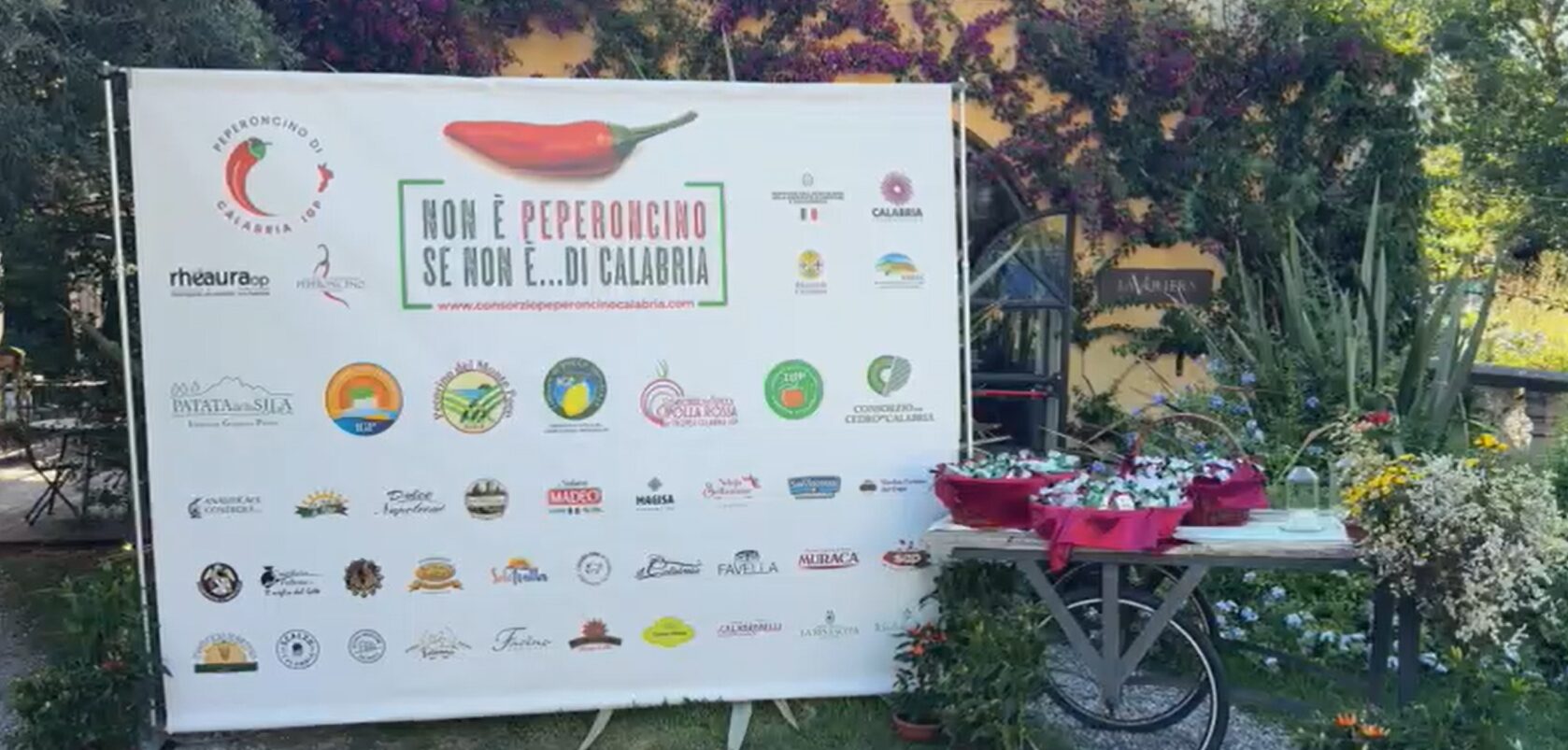 peperoncino di calabria