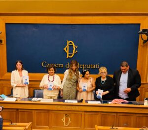 presentazione alla camera libro madre piccolo domenico