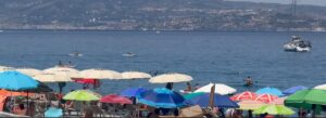 scilla