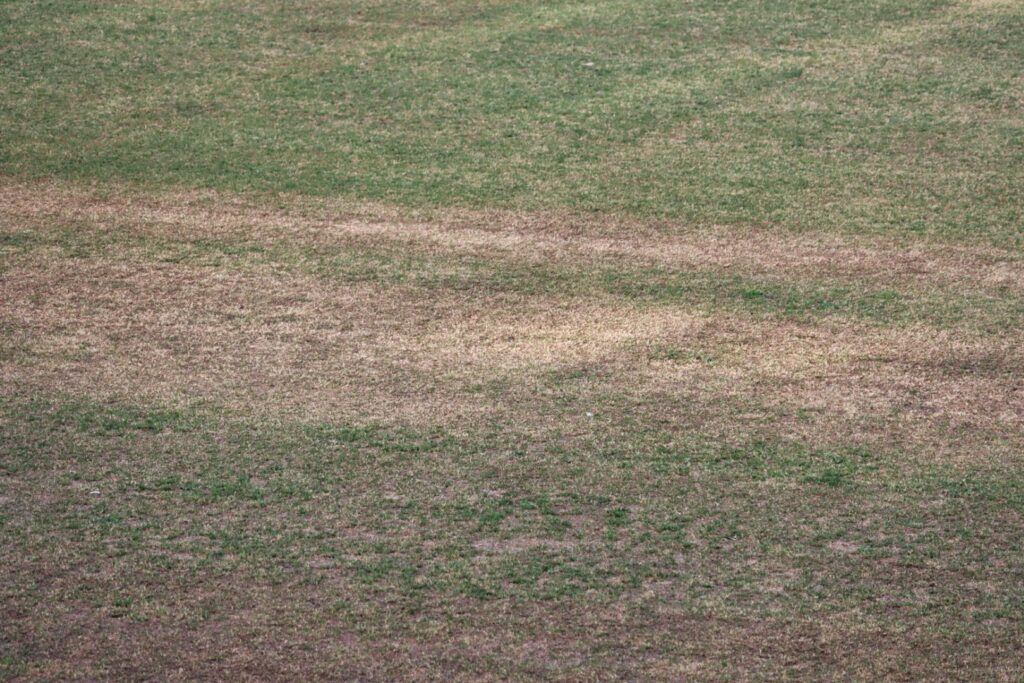 stadio granillo terreno di gioco
