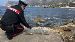 trovate munizioni in mare
