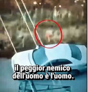 uomo appicca incendio