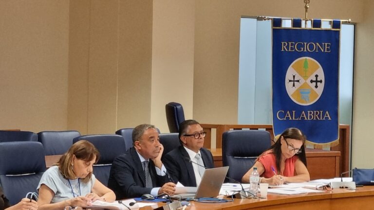 Comunicato stampa IV Commissione