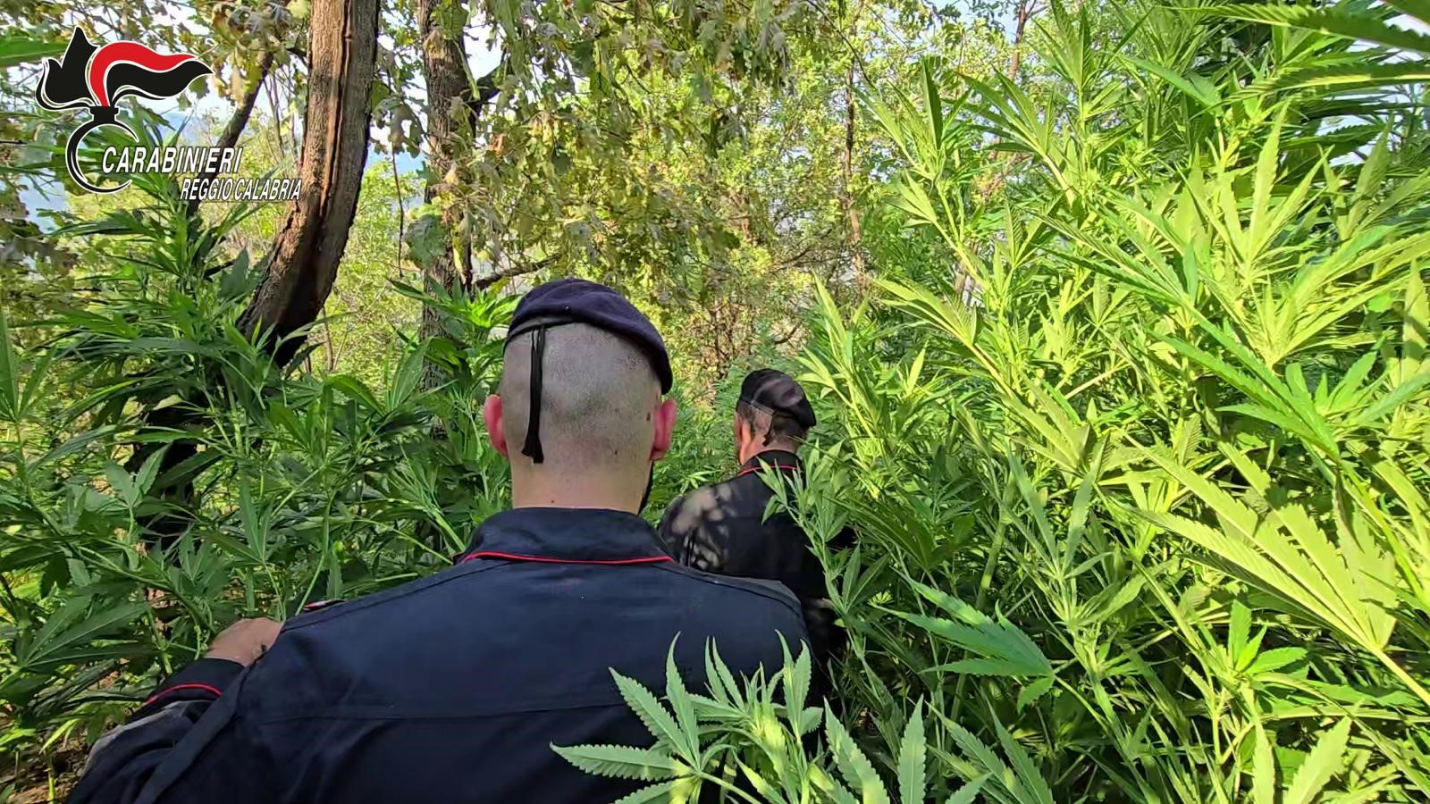Carabinieri Reggio Calabria