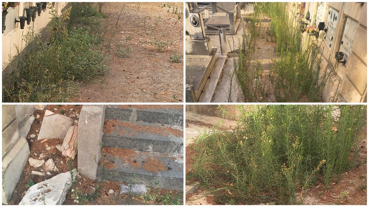Degrado cimitero Messina