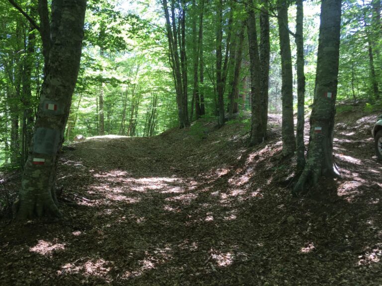 Ente parco Aspromonte