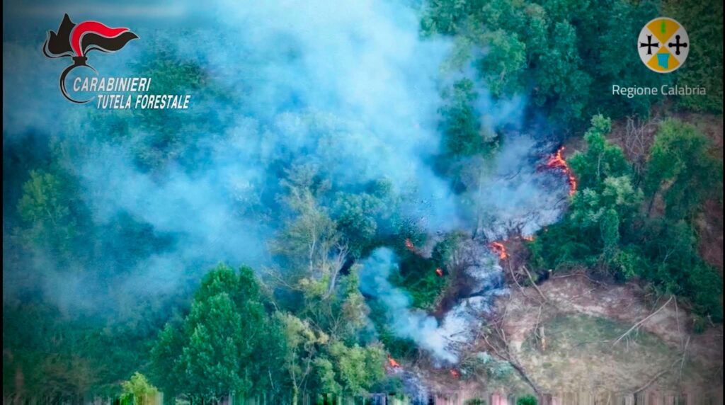 Incendio boschivo