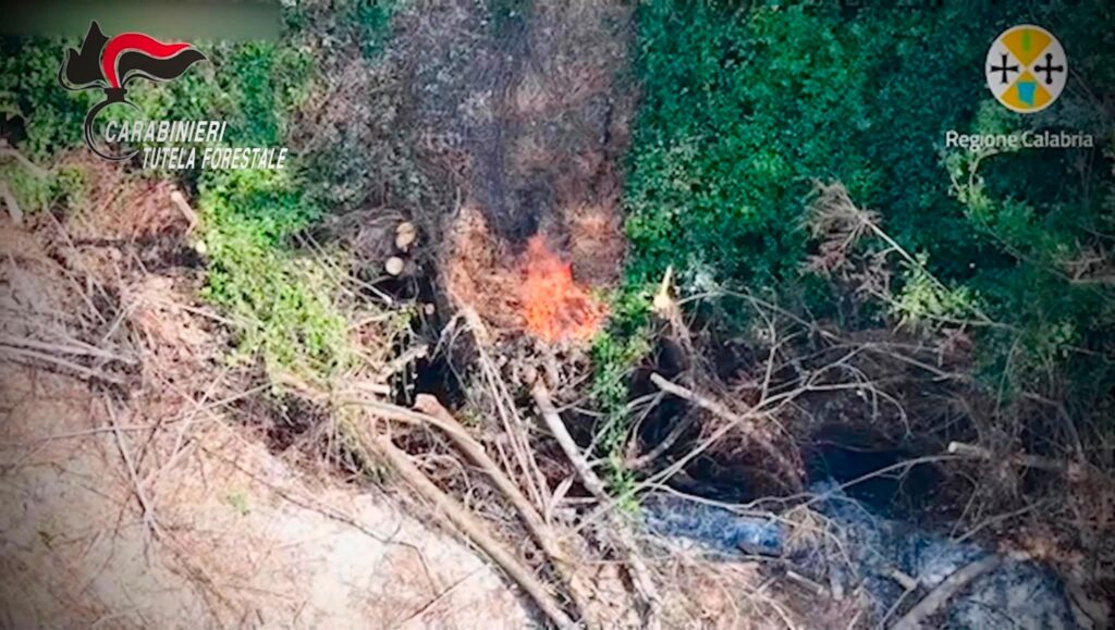 Incendio boschivo