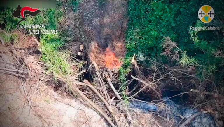 Incendio boschivo