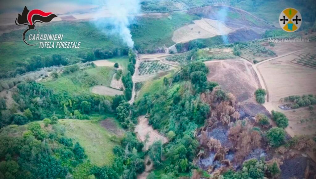 Incendio boschivo