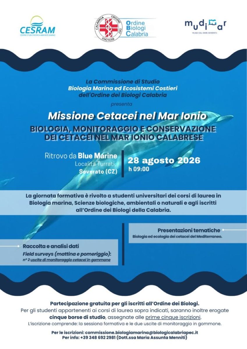 Locandina Missione Cetacei nel Mar Ionio