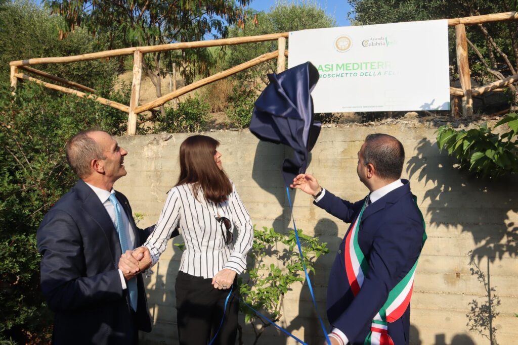 bernini a reggio calabria