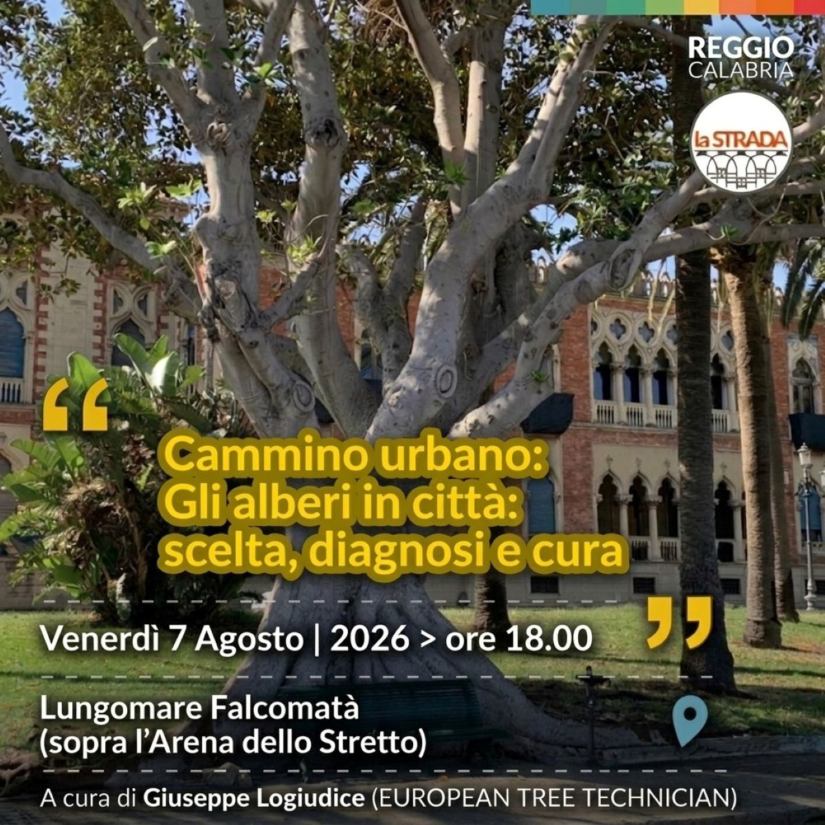 cammino urbano alberi lungomare