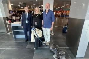 cane grossa taglia volo aereo
