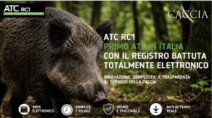 cinghiale ATC RC1