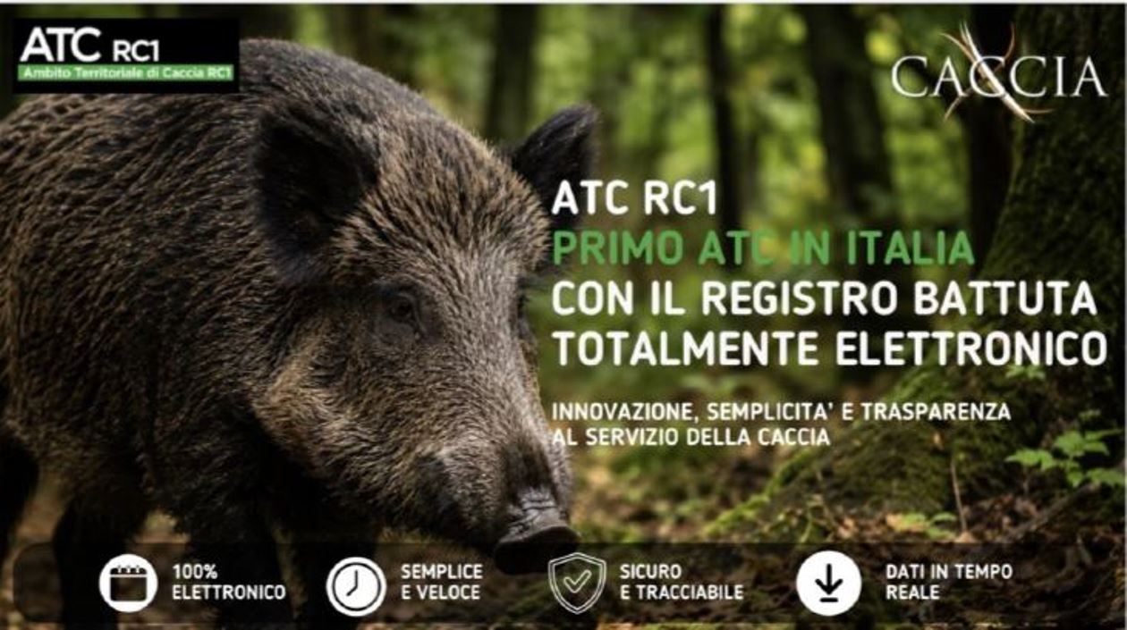 cinghiale ATC RC1