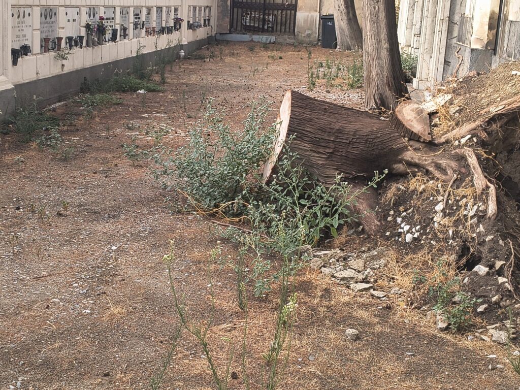 degrado Cimitero Monumentale Messina