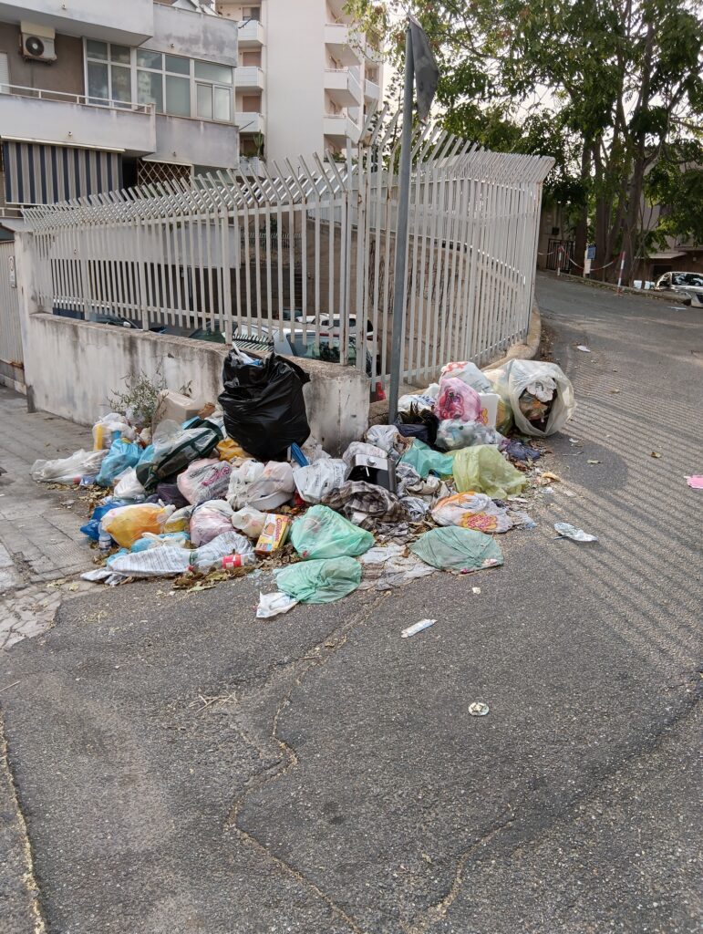 degrado incuria rifiuti via reggio campi