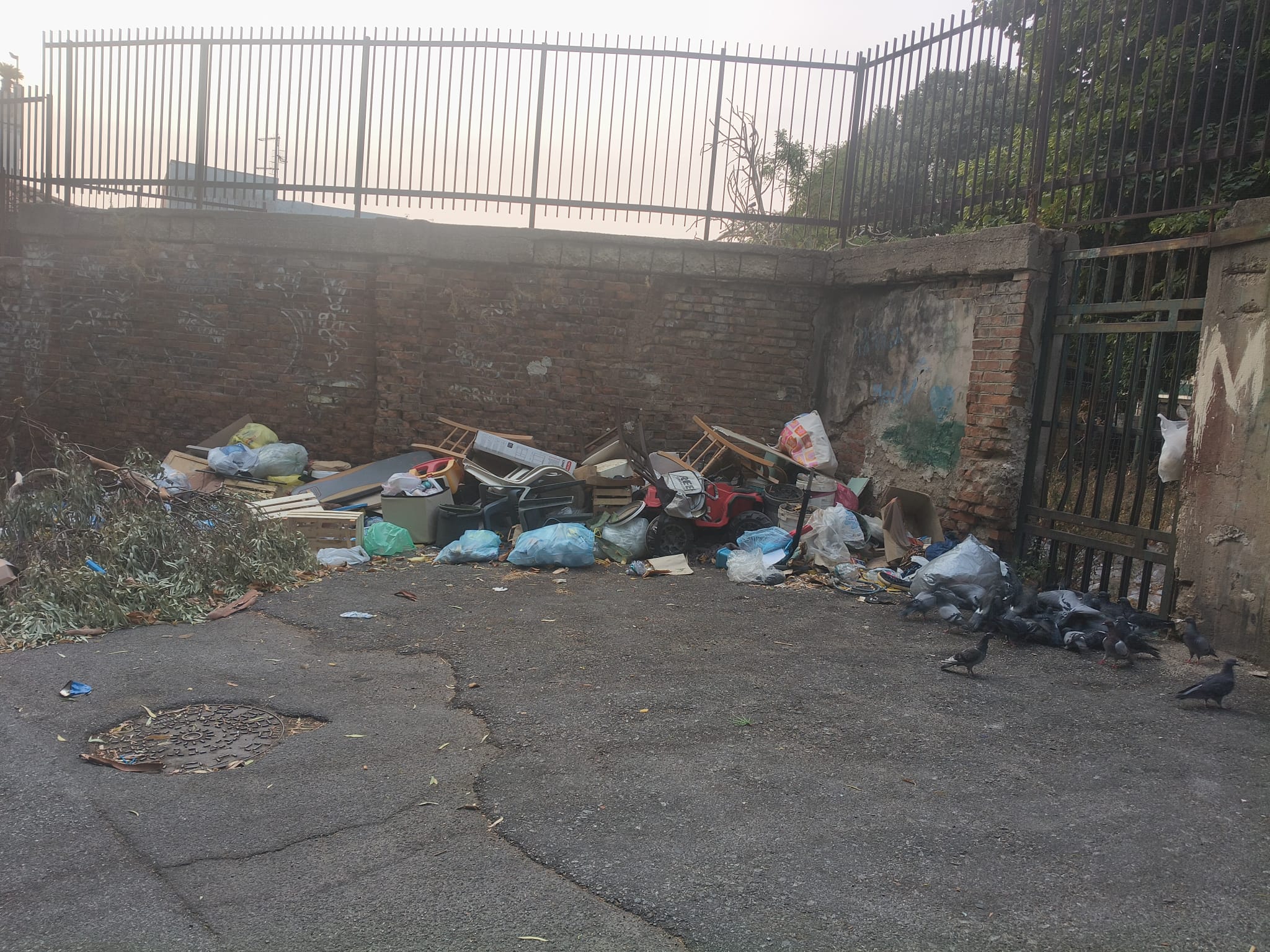 Messina, degrado in via San Cosimo: Cacciotto denuncia rifiuti, vegetazione inco