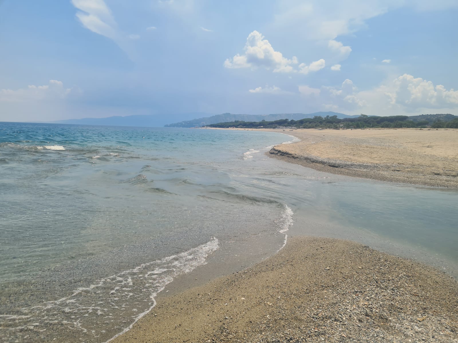 foce corace
