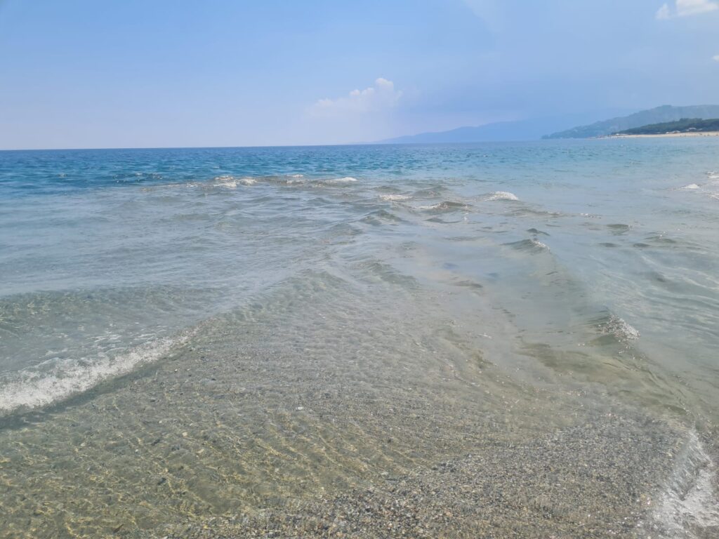 foce corace
