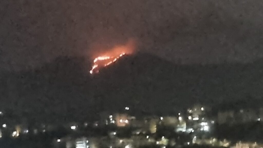 incendio aspromonte