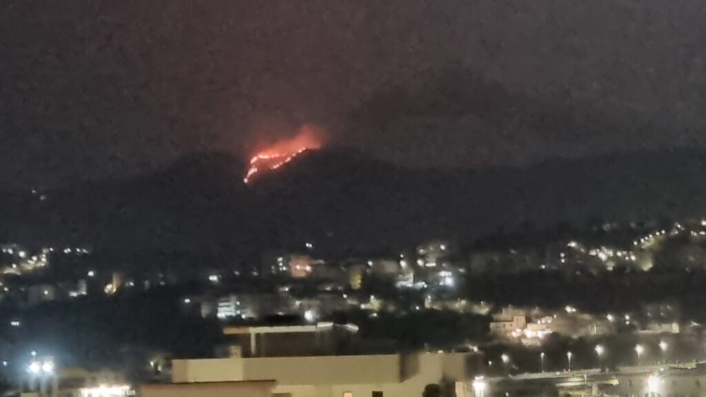 incendio aspromonte