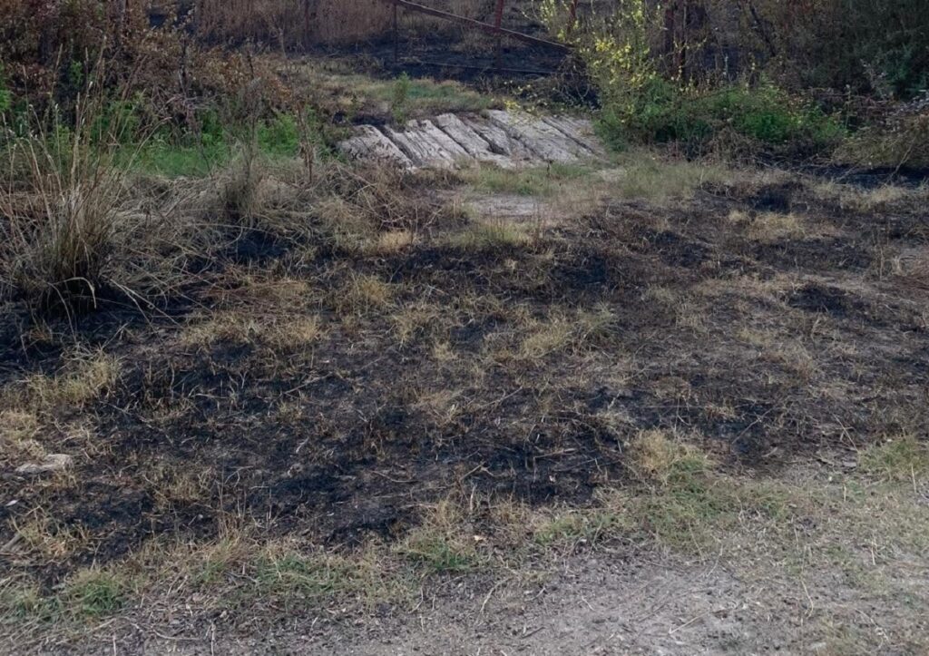 incendio terreni rodi morabito
