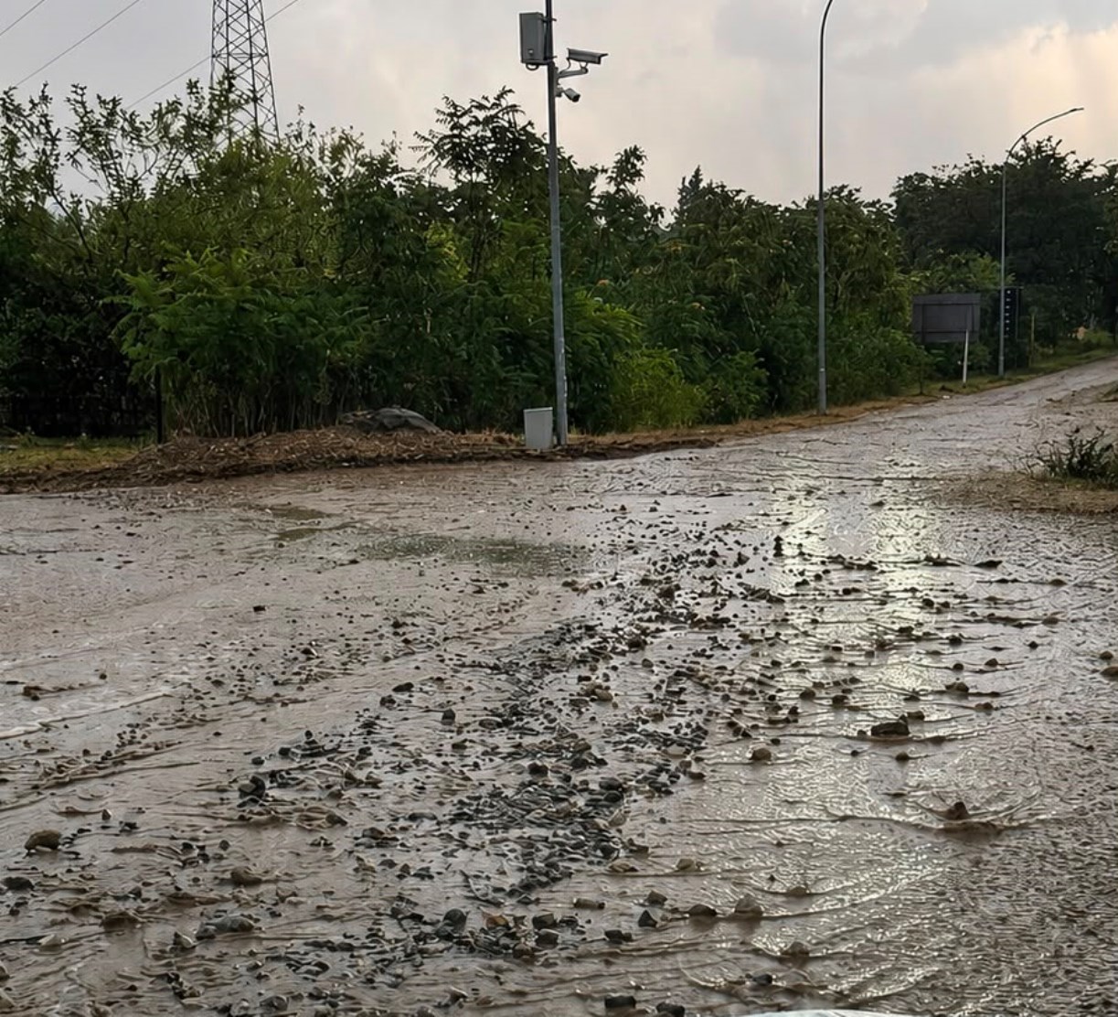 Castrovillari travolta dal maltempo: nubifragi, grandine e alberi abbattuti, not