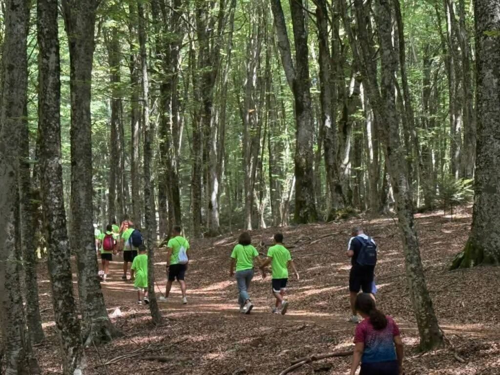 marcialonga gambarie (1)
