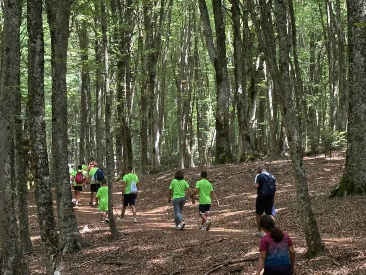 Gambarie, torna la Marcialonga Verde Aspromonte: il 18 agosto la 42ª edizione tr