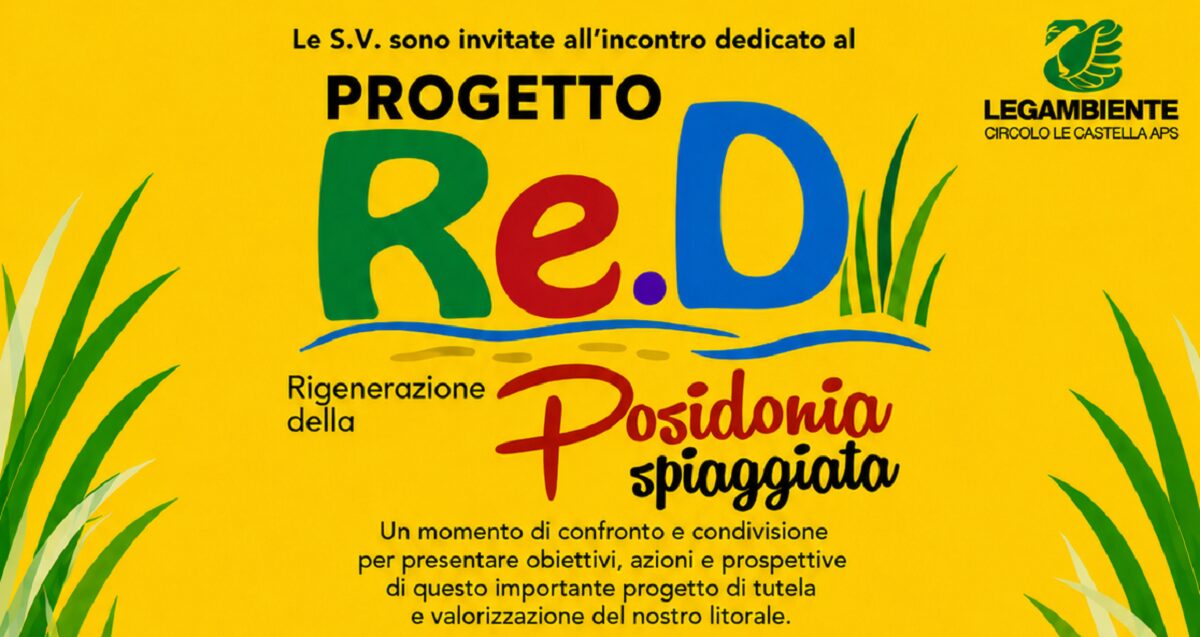 progetto red